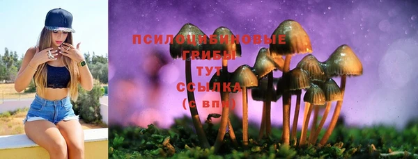 mix Снежинск