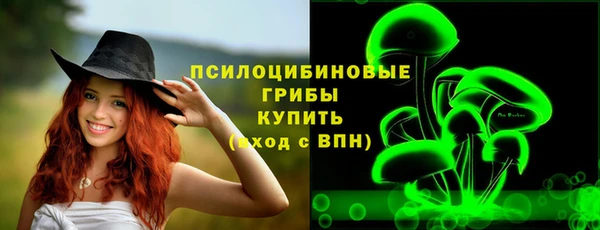 прущие крисы Алексин