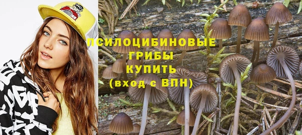 гашиш Аркадак