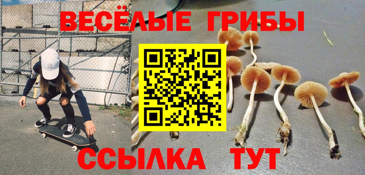 Псилоцибиновые грибы Psilocybine cubensis  Вход с VPN  Нефтекумск 